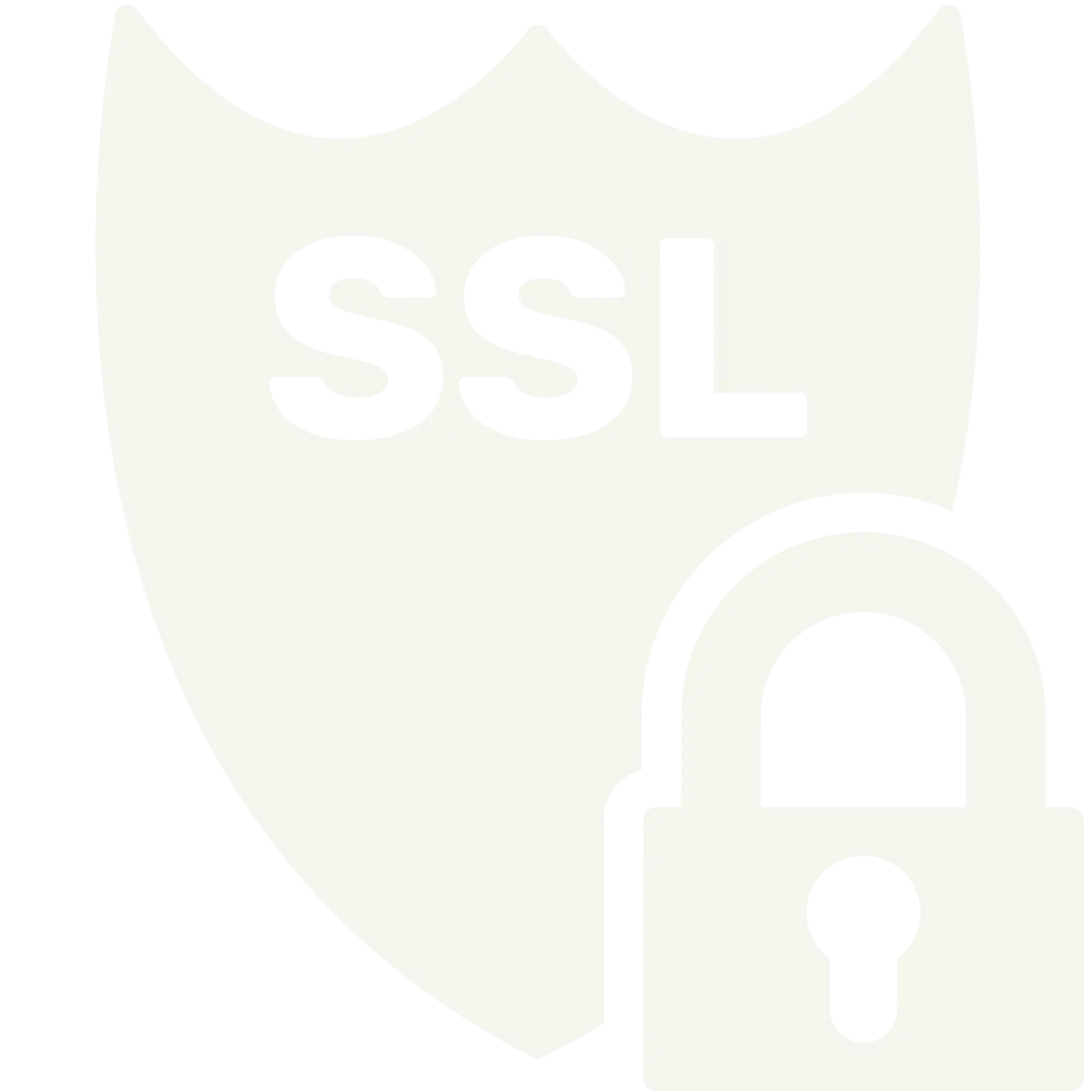 SSL Secure